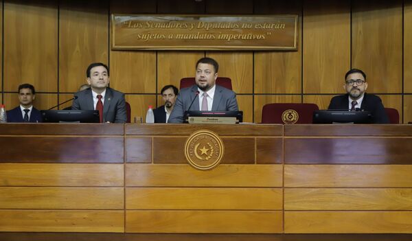 No se convocó a sesión extra del Senado porque no hubo suficientes firmas para el pedido - ADN Digital