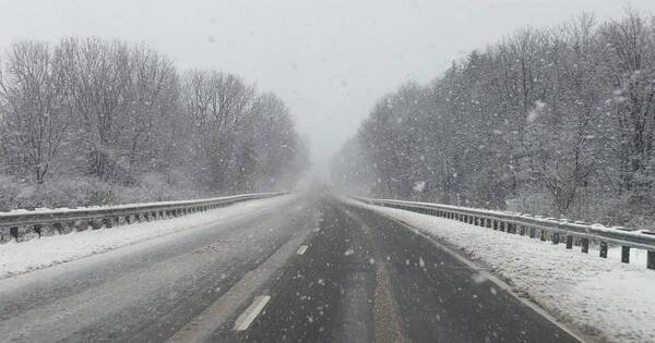 La Nación / Tormentas en Estados Unidos dejan tres muertos