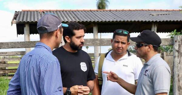 Diario HOY | Caso megaabigeato: recuperan otras 37 cabezas de ganado