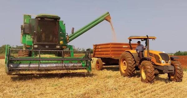 La Nación / Paraguay crecerá cerca del 4 %, con fuerte impulso del sector primario, señalan