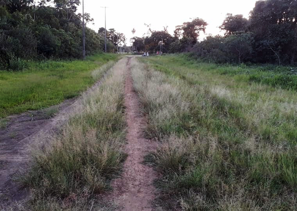 Exigen mantenimiento de camino vecinales en Tavapy - La Clave