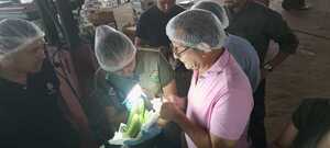 Senave prosigue con visitas técnicas a productores de banana ante recomendaciones del SAG de Chile - ADN Digital
