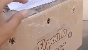Monita muere asfixiada durante envío por encomienda