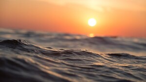 Océanos batieron en 2023 el récord de temperatura más alta por quinto año consecutivo