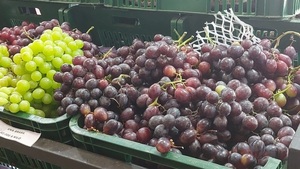 Delicias frutales del verano paraguayo: importancia, variedades y recetas refrescantes - La Tribuna