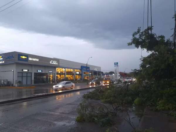 Enorme árbol cae sobre la avenida Eusebio Ayala y parte una columna - Nacionales - ABC Color