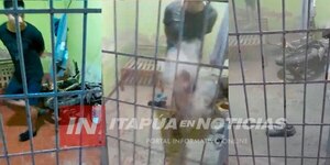 TODAVÍA NO HAY SANCIONES PARA EL ASPIRANTE A POLICÍA QUE CAUSÓ ESTRAGOS EN CAAZAPÁ  - Itapúa Noticias