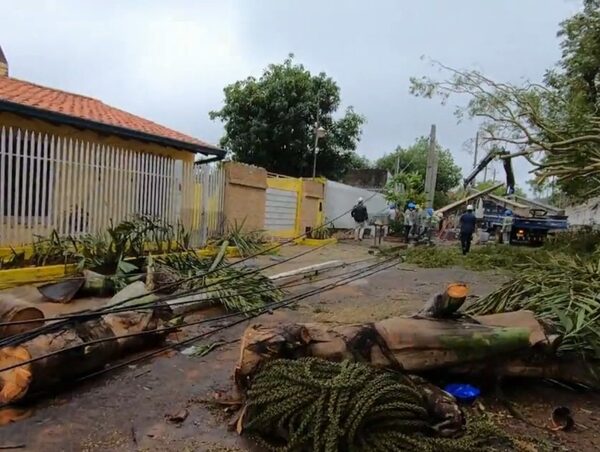 Tormenta afectó a 50 alimentadores de energía: ANDE verifica líneas averiadas · Radio Monumental 1080 AM