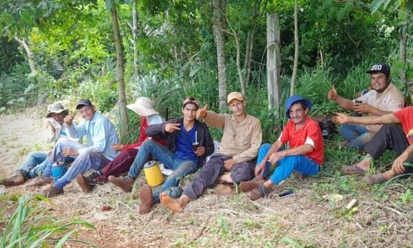 Productores de zapallo de Ñacunday, con excelentes resultados en fincas – Diario TNPRESS