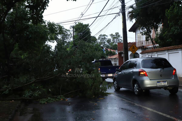 Vino la tormenta, se fue la "lu": varios alimentadores quedaron fuera de servicios