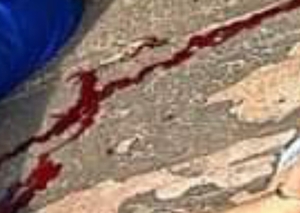 Ejecutan a seis personas en la colonia Guavirá - Radio Imperio 106.7 FM