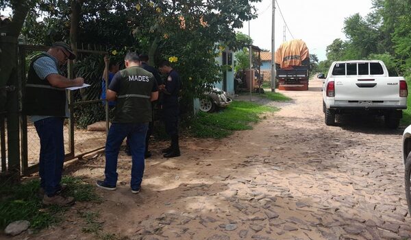 Mades interviene en caso de mono capuchino hallado sin vida en caja de cartón - .::Agencia IP::.