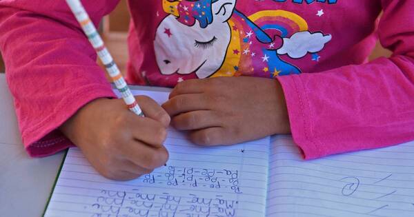 La Nación / FEEI invirtió más de USD 775 millones en educación, informó MEF