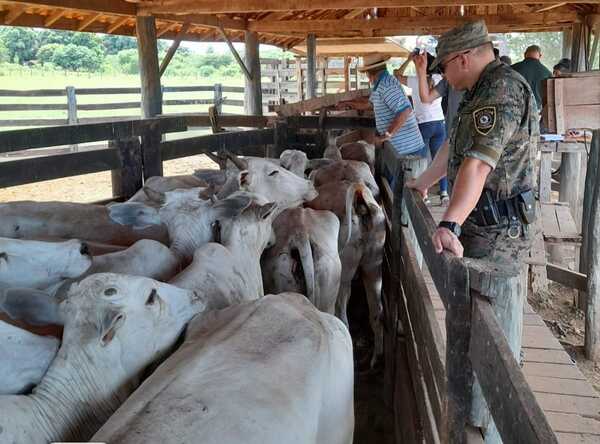 Ganado recuperado es devuelto a propietarios | Radio Regional 660 AM