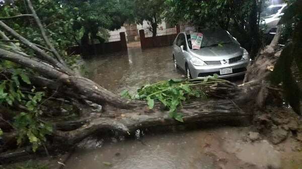 Tormenta afectó a la ciudad de Alberdi - Nacionales - ABC Color