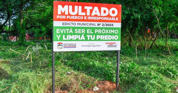 La Nación / “Multado por puerco”: comuna de San Antonio comenzó campaña de limpieza de baldíos