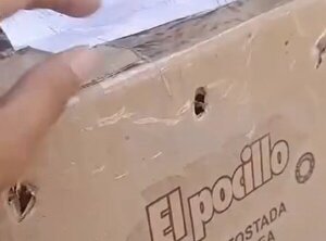 Mades interviene en caso mono capuchino hallado sin vida en una caja de cartón · Radio Monumental 1080 AM