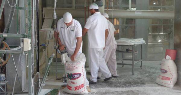 La Nación / Servicios, manufactura y ganadería dinamizaron actividad económica