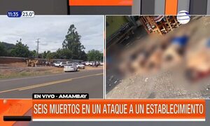 Seis trabajadores de una estancia fueron ejecutados | Telefuturo