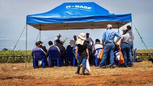 BASF: Nueva variedad de semillas de soja Credenz ofrece alto potencial de productividad