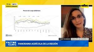 Video: panorama agrícola de la región - Factor Clave - ABC Color