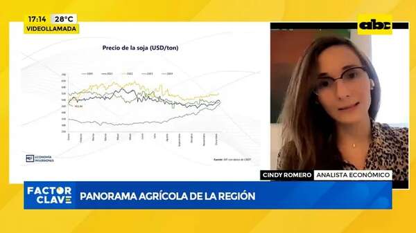 Video: panorama agrícola de la región - Factor Clave - ABC Color