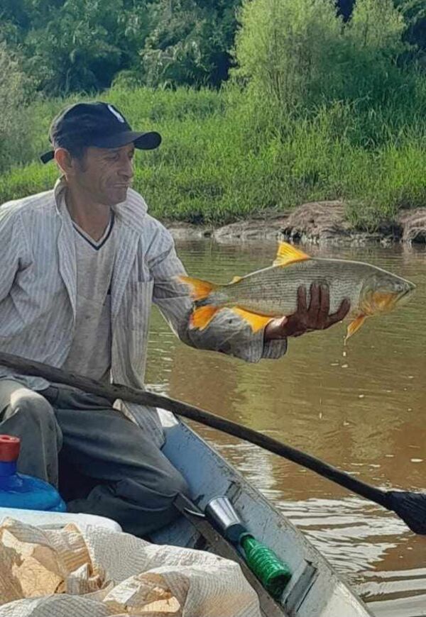 Mortandad de peces en el Río Aquidabán alerta a pescadores locales