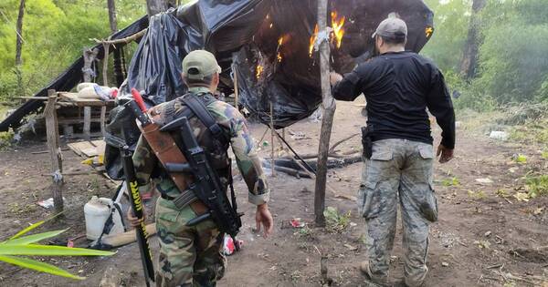 Diario HOY | Anulan 12 toneladas de droga en Bella Vista Norte