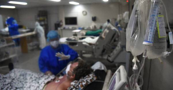La Nación / Salud analiza declarar emergencia por aumentos de casos de covid y dengue
