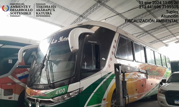 Caso mono muerto caja de encomienda: Mades se constituyó en empresa de transporte.