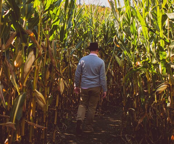Se desacelera el ritmo de crecimiento de la economía: BCP observó caída momentánea de la agricultura, en noviembre - MarketData