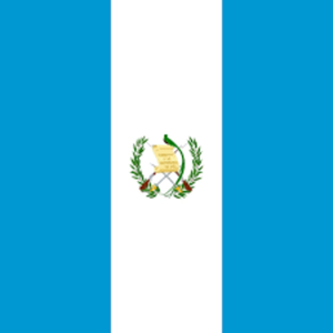 Guatemala con nuevo mandatario - El Independiente