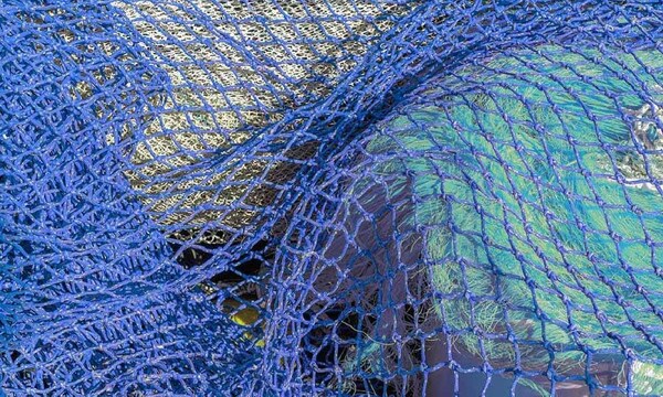 Pescador muere ahogado al tratar de colocar una red en Alto Paraná – Prensa 5