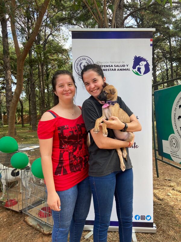 Huellas de esperanza: La Dirección Nacional de Defensa Animal en acción - .::Agencia IP::.