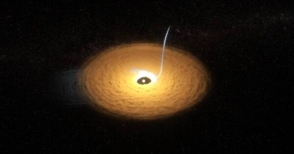 Diario HOY | VIDEO| Detectan polvorienta ‘cola de gato’ en un sistema planetario distante