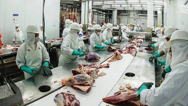 La actividad económica registró un crecimiento de 1,6% al cierre de noviembre, refiere el BCP