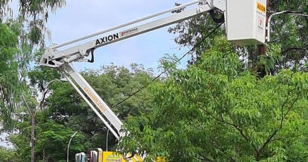 La Nación / Parque Ñu Guasú reabre sus portones tras reparación del sistema eléctrico