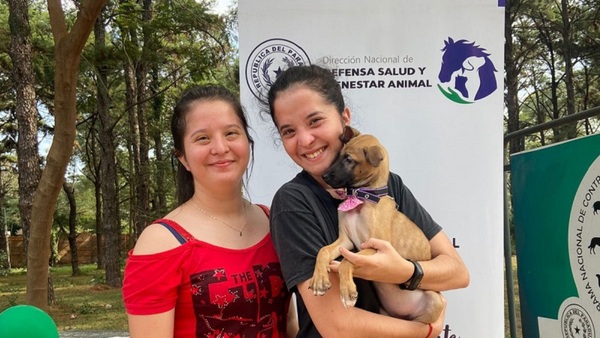 La Dirección de Defensa Animal logró gestionar más de 1.000 denuncias e intervenciones al cierre del 2023
