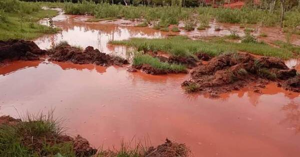 Diario HOY | Desastre ecológico en Paso Yobái: fuga de cianuro afectó a un arroyo
