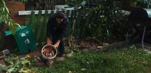 Suman casos sospechosos de dengue en Ayolas - Nacionales - ABC Color