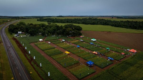 Sem Agro presentó una treintena de variedades de soja y la biotecnología más avanzada en su Jornada de Campo de Soja 2024