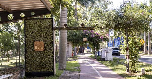 La Nación / Banco Itaú Paraguay presenta “Paseo Natural: Sanber, hecho con vos”