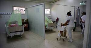 La Nación / Central en alerta: confirman 1.235 casos de dengue en las últimas semanas