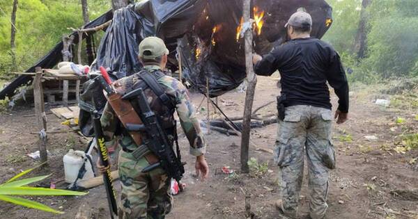La Nación / Destruyen 12 toneladas de presunta marihuana en Bella Vista Norte