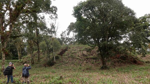 Arqueólogos descubren vestigios de una inmensa red de ciudades amazónicas