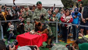 Ejército mexicano celebra cumpleaños de Arkadas, perro rescatista donado por Turquía