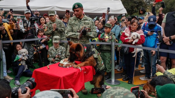 Ejército mexicano celebra cumpleaños de Arkadas, perro rescatista donado por Turquía