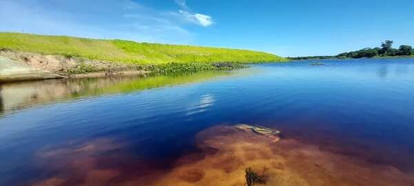 El Mades afirma que el arroyo Ñeembucú está contaminado - Nacionales - ABC Color