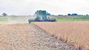 Exportaciones alcanzaron récords y un crecimiento de 25% en el 2023