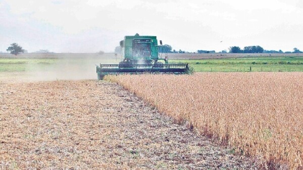Exportaciones alcanzaron récords y un crecimiento de 25% en el 2023